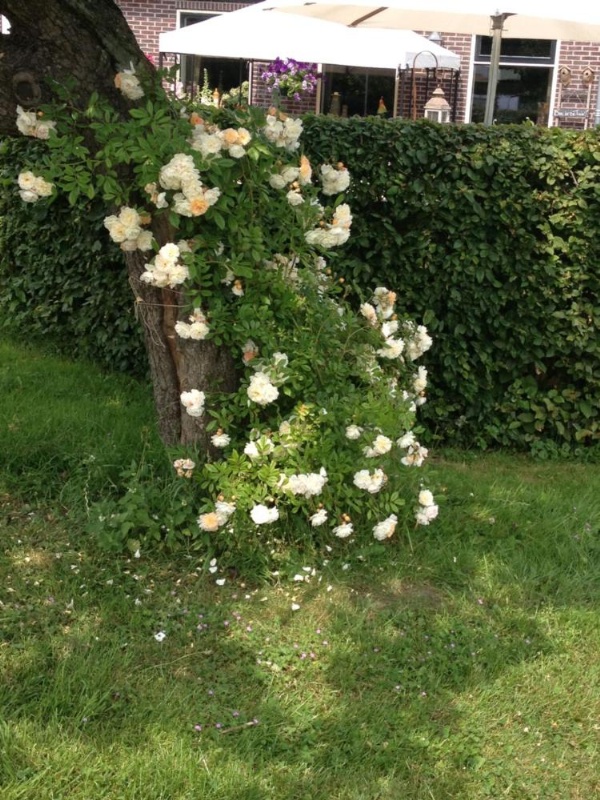 Shepherds House B&B image 12