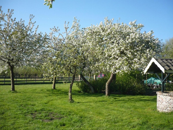 Shepherds House B&B image 4